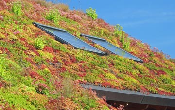 Leverton Lucasgate living roof systems